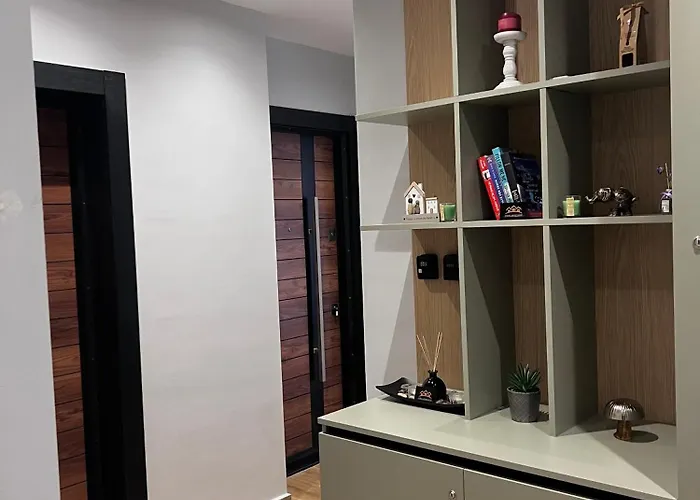 Shehu Apartment Tirana